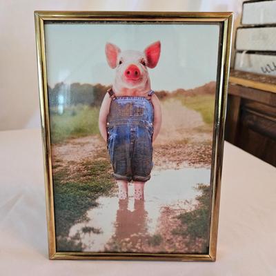 Pigs, Pigs and More Pigs! (LR-DW)