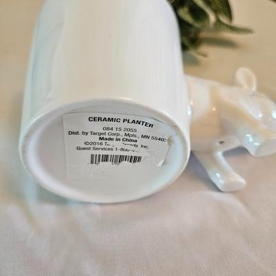 Pigs, Pigs and More Pigs! (LR-DW)