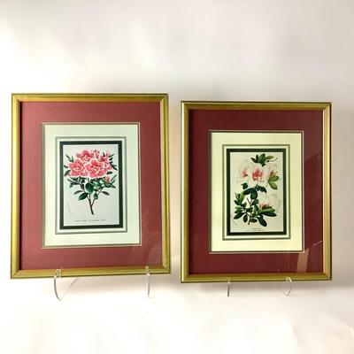 249 Four Floral Prints in Gilded Frames