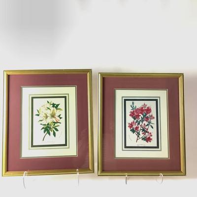249 Four Floral Prints in Gilded Frames