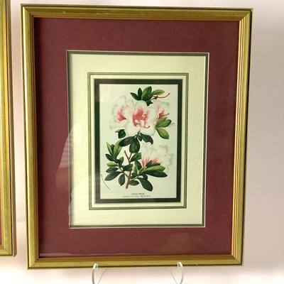 249 Four Floral Prints in Gilded Frames