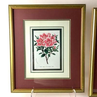 249 Four Floral Prints in Gilded Frames