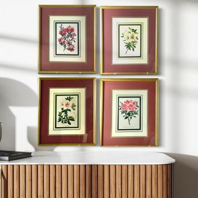 249 Four Floral Prints in Gilded Frames