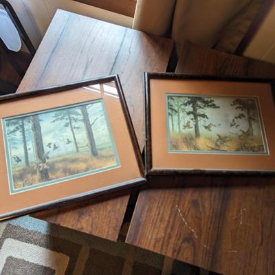 Pair Of Birds Flying Art Prints