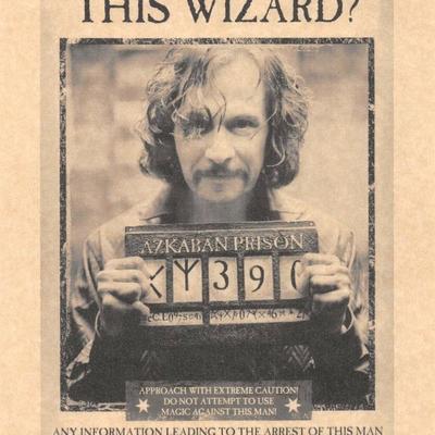 Harry Potter Wanted poster