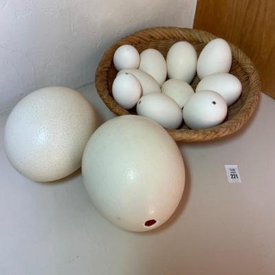 Blown eggs