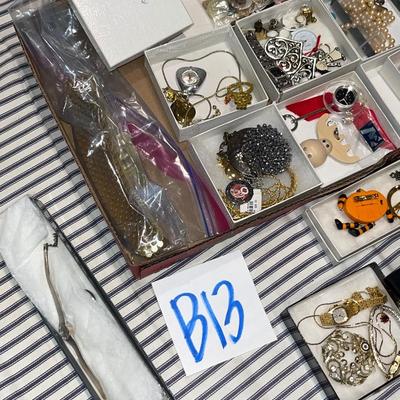B13-Large Jewelry Lot