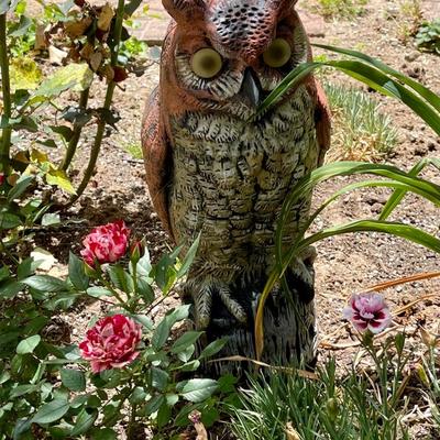 Plastic Garden Owl approx 12
