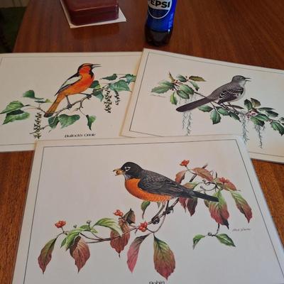 3 Bird placemats