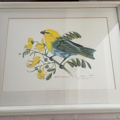 Hawaiin birds framed art