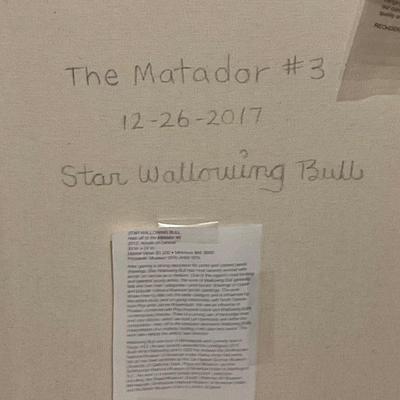 O22-framed art on canvas – The Matador #3