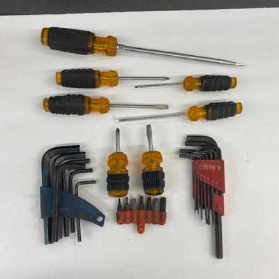 Handy Screw Drivers and Allen Wrenches