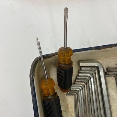 An Array of Allen Wrenches and Flat and Phillips Screwdrivers