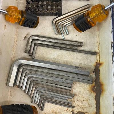An Array of Allen Wrenches and Flat and Phillips Screwdrivers
