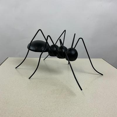 775 Large Garden Ant