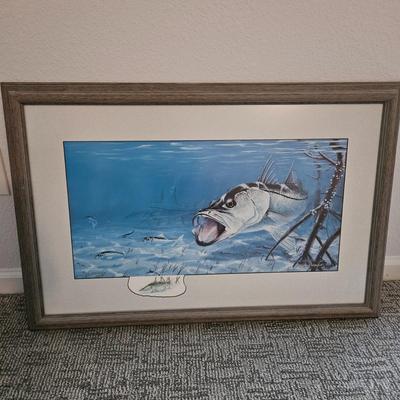 Thomas Krause Signed and Numbered Snook Print (BLR-DW)