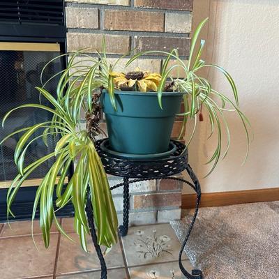 PLANT STAND WITH PLANTER AND LIVE PLANT