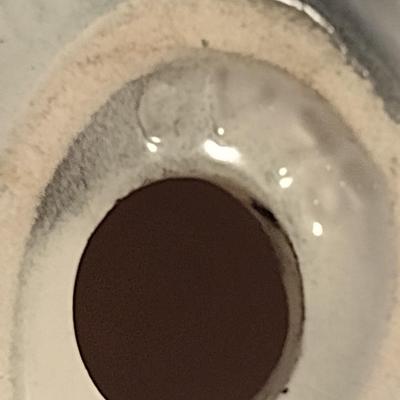 Pair of Hand Painted Goebel Bird Figurines