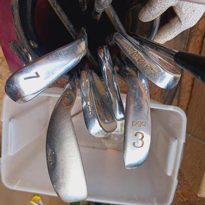 HORSESHOES AND GOLF CLUBS