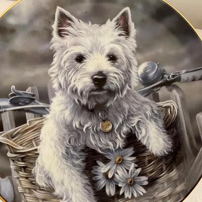 Collection of Westie Plates