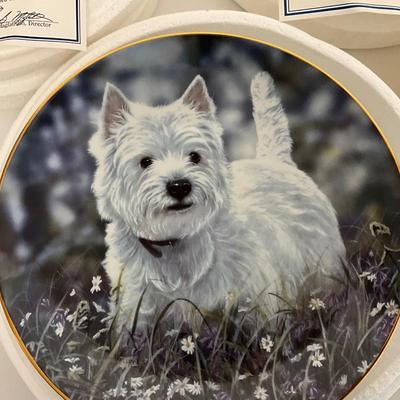 Collection of Westie Plates