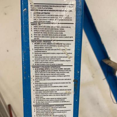 WERNER 6ft Fiberglass Ladder
