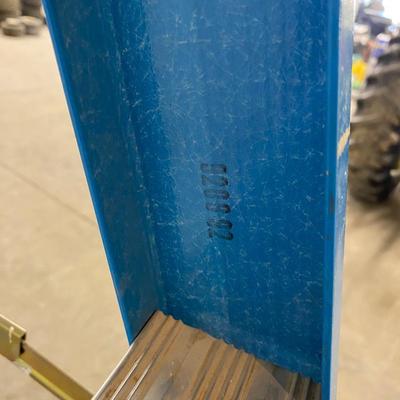 WERNER 6ft Fiberglass Ladder