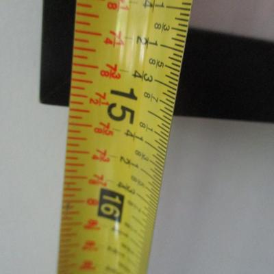 J. F. Lansdowne Birds Red-Bellied Woodpecker Print