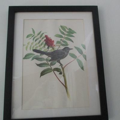 J. F. Lansdowne Bird Print