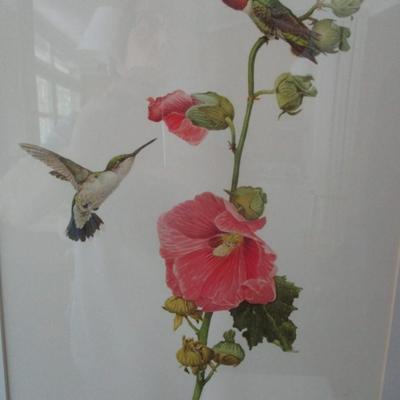 J. F. Lansdowne Birds Hummingbirds Print
