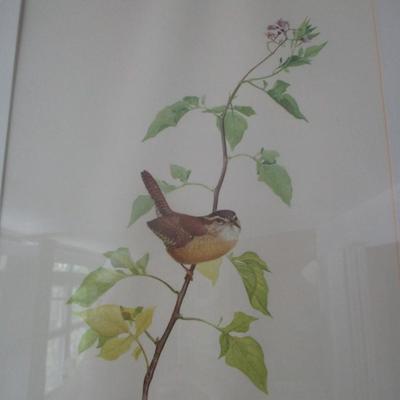 J. F. Lansdowne Bird Print