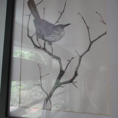 J. F. Lansdowne Bird Print