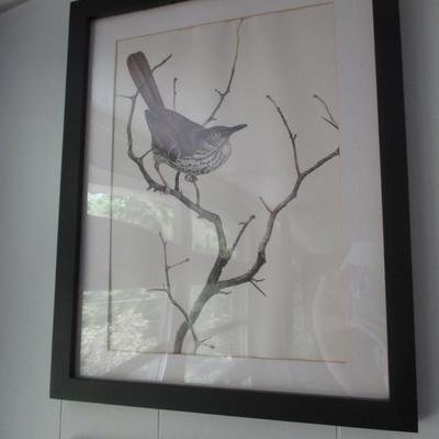 J. F. Lansdowne Bird Print