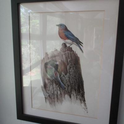 J. F. Lansdowne Birds Bluebirds Print