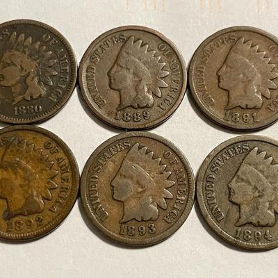 1880, 1889, 1891, 1892, 1893, 1894 CIRCULATED CONDITION INDIAN HEAD CENTS AS PICTURED.