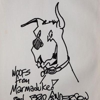 Brad Anderson drawn and signed sketch 