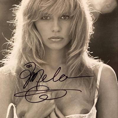 Pamela
Anderson signed photo
