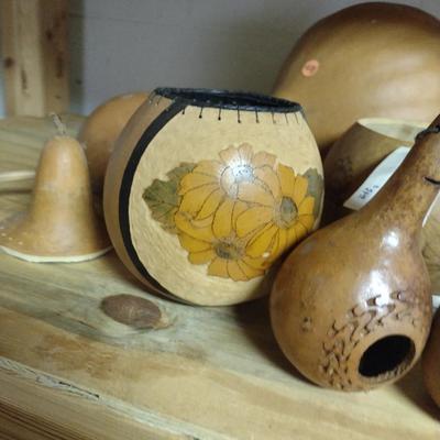 Assorted Gourds- Some Cut for Birdhouses and Vases