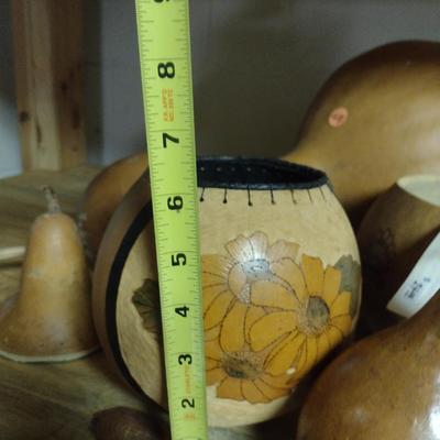Assorted Gourds- Some Cut for Birdhouses and Vases