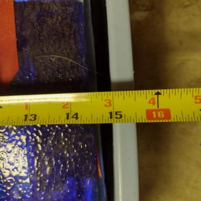 Collection of Stained Glass Pieces (Choice A)