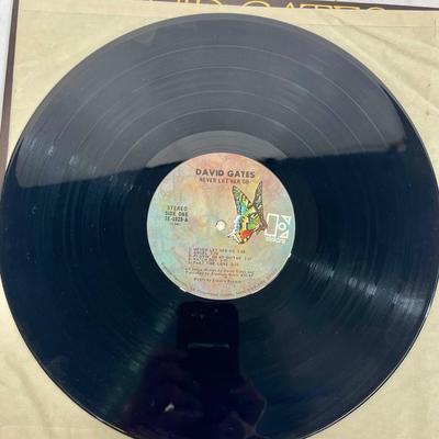 David Gates Never Let Her Go Vintage Vinyl Record Album 33rpm