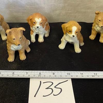 Puppy Lot