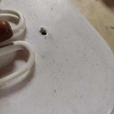 Lifetime Folding Table- 29" x 6'- No Contents