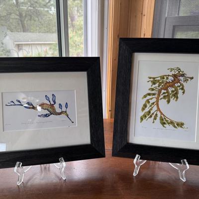 Framed Watercolor Paintings