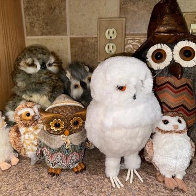 Owls Lot
