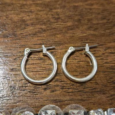 Earrings Lot