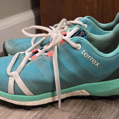 Adidas Terrex Hiking Shoes