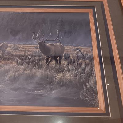 BEAUTIFULLY FRAMED AND MATTED PICTURE OF ELKS
