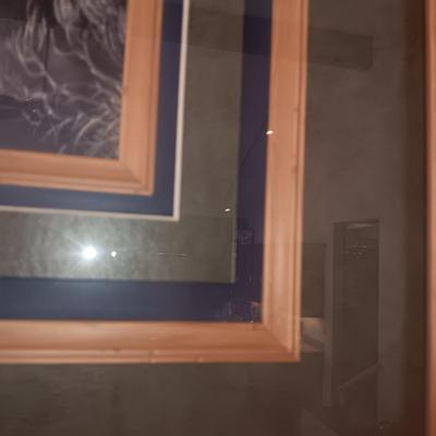 BEAUTIFULLY FRAMED AND MATTED PICTURE OF ELKS