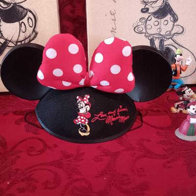 CANVAS MICKEY AND MINNIE MOUSE PICTURES, DISNEY ORNAMENTS AND FIGURES PLUS MINNIE HAT